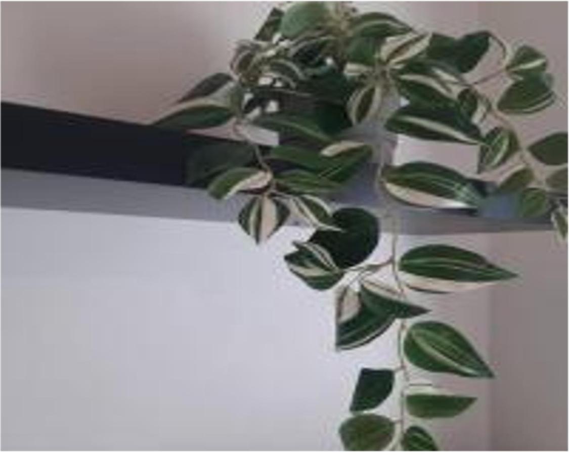 Bomboniera Sui Navigli Apartment มิลาน ภายนอก รูปภาพ